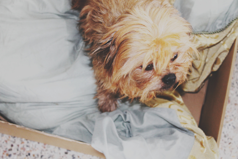 Blogger Guide to SEO friendly Content