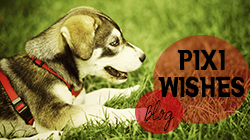 Pixi Wishes & Forehead Kisses