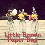 Little Brown Paper Bag